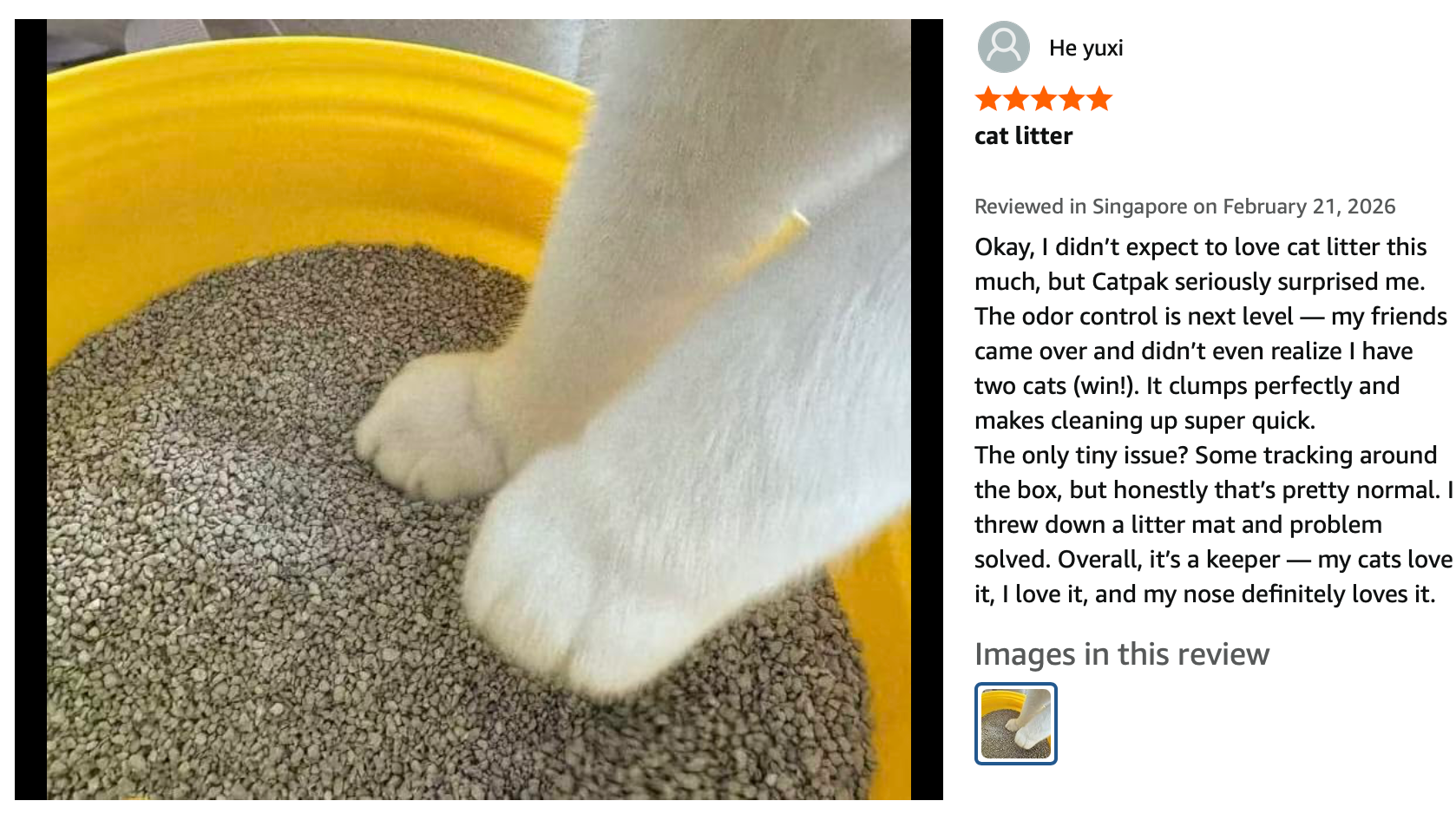 He yusi 5-star review from Singapore — Catpak seriously surprised me.